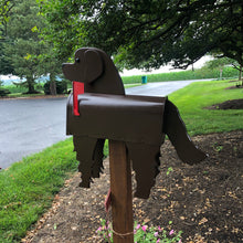 Load image into Gallery viewer, Newfoundland Mailbox | Unique Dog Mailbox | pp007