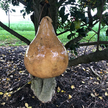 Load image into Gallery viewer, Gourd Birdhouse | Lighthouse