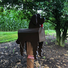 Load image into Gallery viewer, Newfoundland Mailbox | Unique Dog Mailbox | pp007