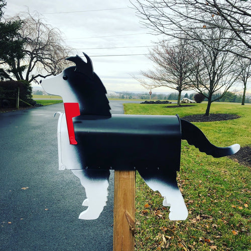 Border Collie Mailbox | Unique Dog Mailbox | pp008