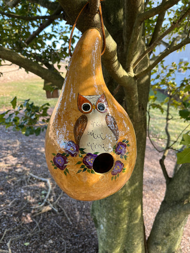 Gourd Birdhouse | Owl | G11