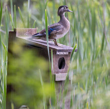 Load image into Gallery viewer, Wood Duck Box | Duck Nesting Box | Birdhouse for Wood Ducks | Made in USA | F007