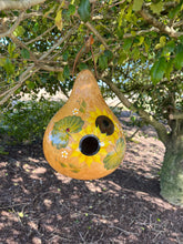 Load image into Gallery viewer, Gourd Birdhouse | Sunflowers | G8