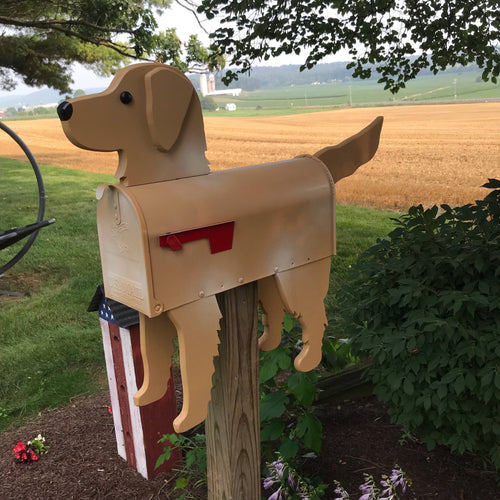 Golden Retriever Mailbox | Unique Dog Mailbox | pp050