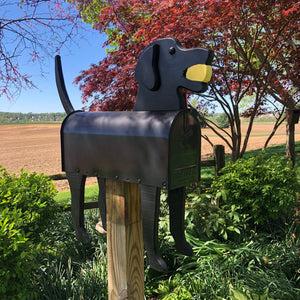 Labrador Retriever with Ball Mailbox | Unique Dog Mailbox | PP003B