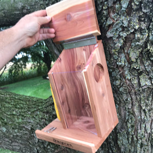 Squirrel Feeder | Wooden | Cedar