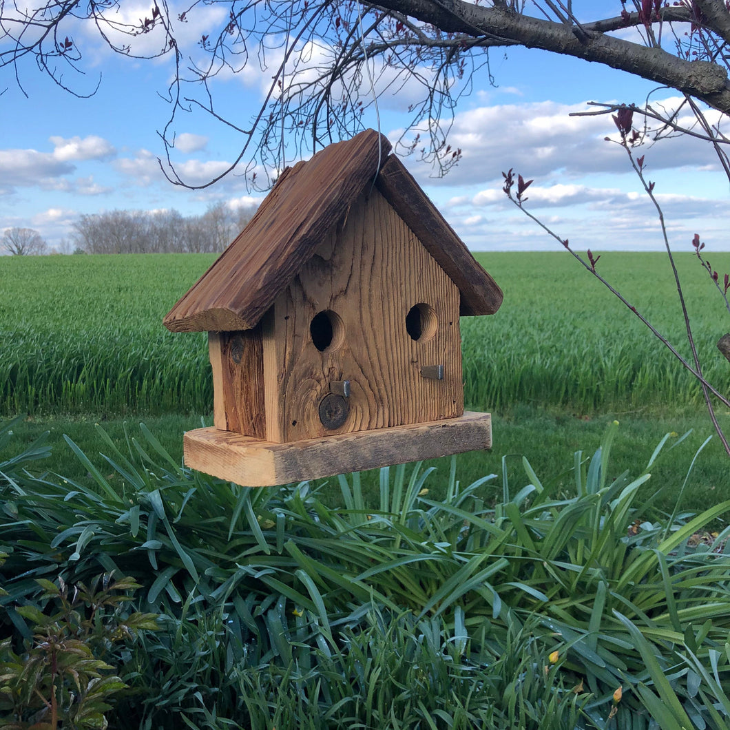 Rustic 2-Hole Birdhouse | Hand Made from Reclaimed Wood | RBH34