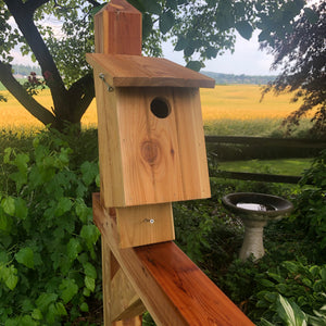 Red Cedar Bluebird House l Simple, Beautiful and Functional | F004