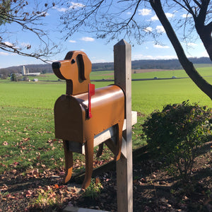 Labrador Retriever Mailbox | Unique Dog Mailbox | pp003