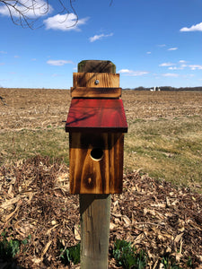 Bluebird House | Amish Made | Functional Birdhouse
