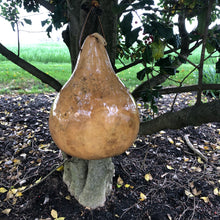 Load image into Gallery viewer, Gourd Birdhouse | Cardinal