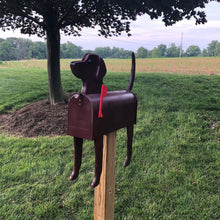 Load image into Gallery viewer, Chocolate Lab | Unique Dog Mailbox | pp003