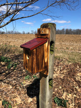 Load image into Gallery viewer, Bluebird House | Amish Made | Functional Birdhouse