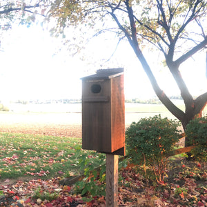 Wood Duck Box | Duck Nesting Box | Birdhouse for Wood Ducks | Made in USA | F007