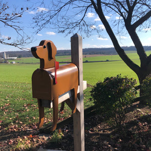 Labrador Retriever Mailbox | Unique Dog Mailbox | pp003