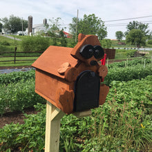 Load image into Gallery viewer, Adorable Raccoon Mailbox | Metal Box Insert | Made with Reclaimed Wood