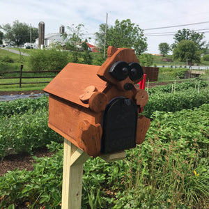 Adorable Raccoon Mailbox | Metal Box Insert | Made with Reclaimed Wood