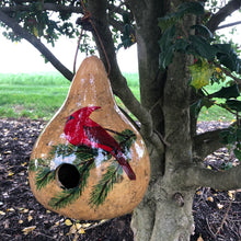 Load image into Gallery viewer, Gourd Birdhouse | Cardinal