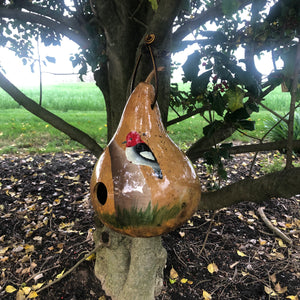 Gourd Birdhouse | Red Headed Wood Pecker