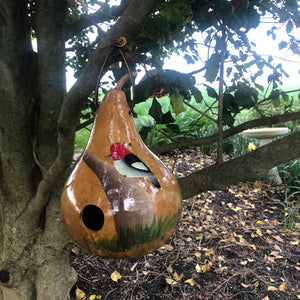 Gourd Birdhouse | Red Headed Wood Pecker